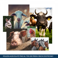 Bestiame in Abruzzo: da oggi � possibile assicurare gli allevamenti per le epizoozie      