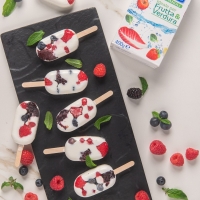 Mini gelati allo yogurt e frutti di bosco: una sana, fresca e gustosa merenda per rifrescarsi sotto il sole