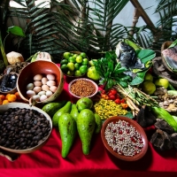 Back to the Origins: la cucina peruviana dagli chef stellati alle varietà regionali