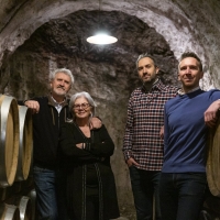 Ronco dei Tassi – La Malvasia Collezione di Famiglia 2019 Vino dell’anno ai Food and Travel Italia Awards 2021