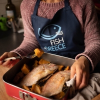 Tutti a tavola con le colorate e fantasiose ricette “a prova di bambino”  a base di pesce fresco greco Fish from Greece