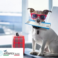 Trasporto animali domestici via aerea? Affidati alla cura di AIRIMPEX