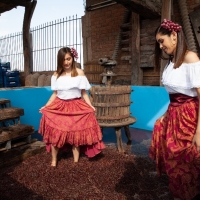 La festa della Vendemmia in Perù: origini e tradizioni