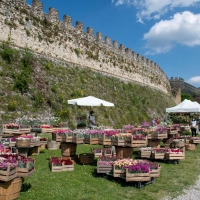 Dall'8 al 10 aprile XIV Edizione di FIORInellaROCCA – Mostra mercato di piante rare alla Rocca Visconteo Veneta di Lonato del Garda (BS)