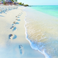 My Promise to Aruba: una piccola promessa per preservare un grande paradiso naturale