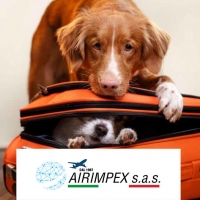 Trasporto aereo animali vivi AIRIMPEX a Fiumicino