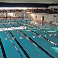 Foto 1 - La piscina comunale di Foiano della Chiana apre la nuova stagione sportiva