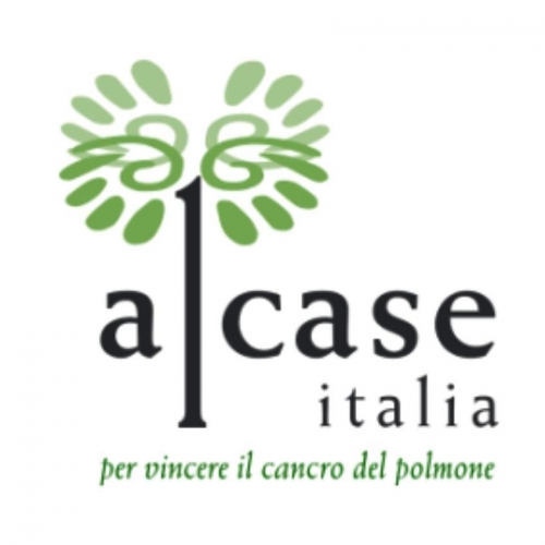 Foto 2 - ALCASE Italia lancia la 8° Edizione di ILLUMINA NOVEMBRE (Anno 2022)
