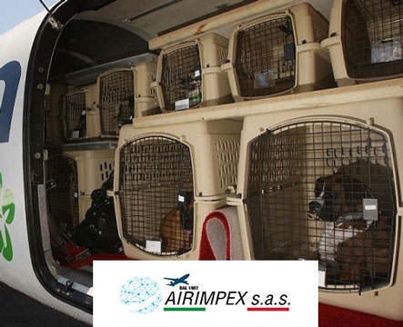 Servizio Spedizioni Aeree Animali Domestici Vivi AIRIMPEX