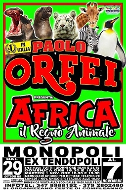 A Monopoli, il grande sogno africano� del Circo Paolo Orfei�