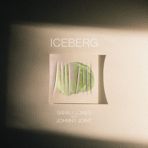 Foto 2 - Pop, trap e psicoanalisi si fondono in “Iceberg”, il nuovo singolo di Sara J Jones & Johnny Joint