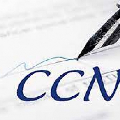 Sanità, Nursing Up De Palma: CCNL Comparto Sanità 2019-2021, arriva l’attesa approvazione della Corte di Conti. Ora attendiamo solo la convocazione delle Organizzazioni Sindacali per la firma definitiva».