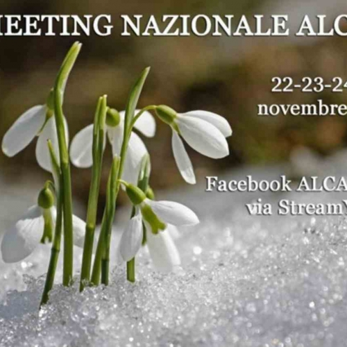 Foto 1 - 6° MEETING NAZIONALE ALCASE: un forum di speranza per i malati di cancro del polmone 