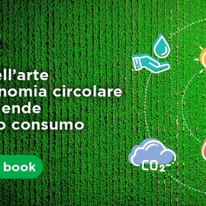 Economia circolare nel largo consumo in Italia: le best practice raccolte e misurate da GS1 Italy in un nuovo report. Tra stato dell’arte e sfide future
