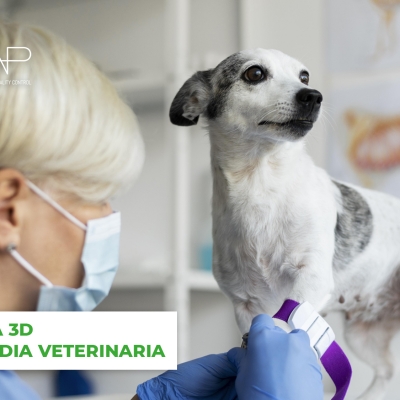 La stampa 3D in ortopedia veterinaria per garantire il benessere dei nostri animali