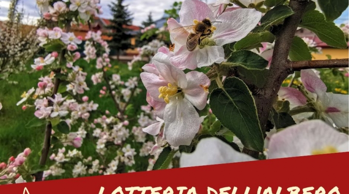 Il frutteto di CASCINA FOGONA di Altare: un esempio di resilienza e di biodiversità per affrontare il cambiamento climatico