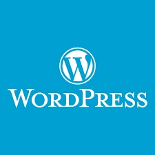 Cosa è WordPress e come funziona ?