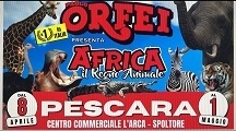 A Pescara il grande sogno africano del Circo Paolo Orfei, lo spettacolo di successo