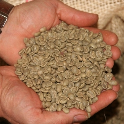 “L’oro verde, la logistica e il mercato del caffè”, il convegno all’Interporto di Nola con gli esperti del settore