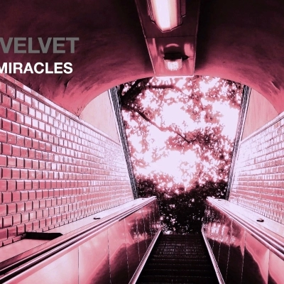 Angelique Cavallari pubblica il singolo Little Miracles con i Nine Velvet
