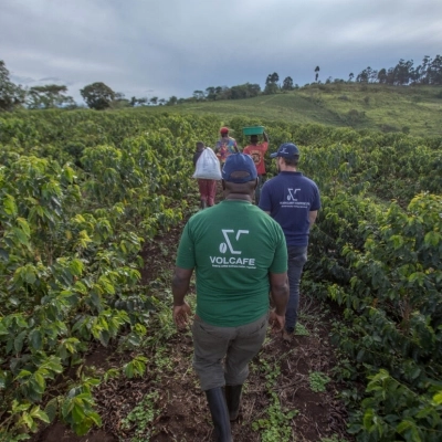 Volcafe in Uganda, obiettivo caffè di qualità, sostegno ai farmer  e interventi per la salvaguardia dell’ambiente