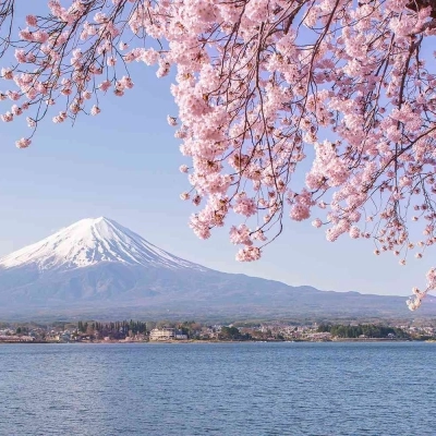 “Solitario viaggio in Giappone, i ricordi di un'avventura indimenticabile” di Davide Romano