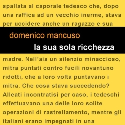 “La sua sola ricchezza” di Domenico Mancuso 