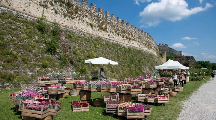Dal 14 al 16 aprile la XV Edizione di FIORInellaROCCA - Mostra mercato di piante rare alla Rocca Visconteo Veneta di Lonato del Garda (BS)