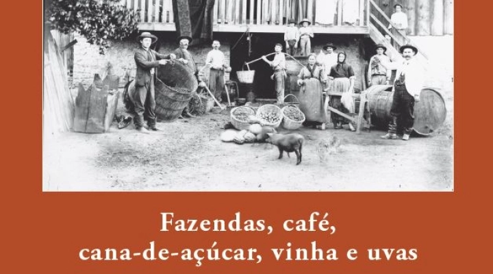 'Fazendas, café, cana-de-açúcar, vinha e uvas- Marchigiani in Brasile’