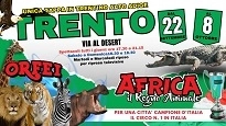 Per la prima volta a Trento il grande sogno africano del Circo Paolo Orfei  