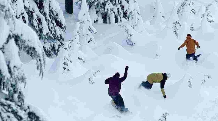 Le tavole da snowboard: una guida completa per la scelta perfetta
