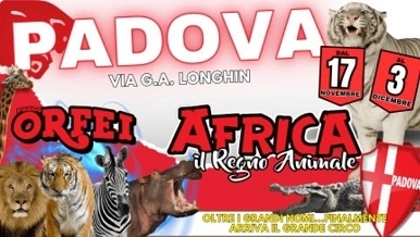 A Padova il grande sogno africano del Circo Paolo Orfei