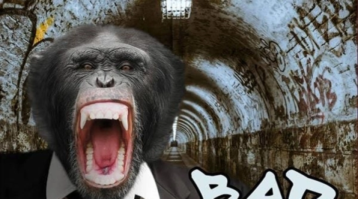 Monkey Intrusion - Il nuovo singolo “Bad Love”