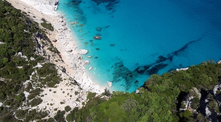 Colori, profumi, sapori e atmosfere della Sardegna più autentica in scena a BIT 2024